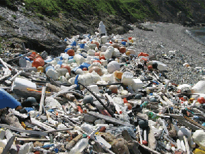 生命の母なる海－漂着ごみ処理法からマイクロプラスチック流出防止の画像